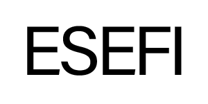 ESEFI Empresa de Servicios Financieros S.A.